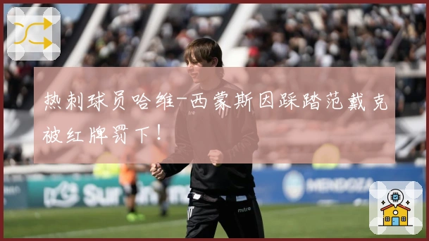 热刺球员哈维-西蒙斯因踩踏范戴克被红牌罚下！