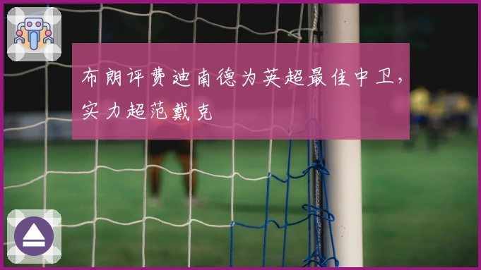 布朗评费迪南德为英超最佳中卫，实力超范戴克