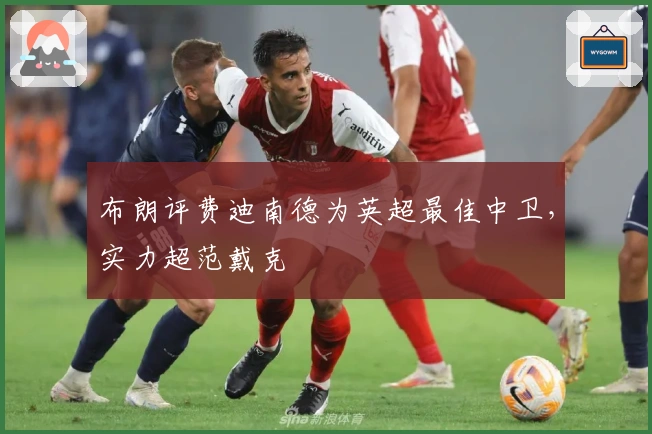 布朗评费迪南德为英超最佳中卫，实力超范戴克