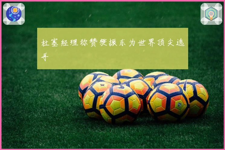 杜塞经理称赞樊振东为世界顶尖选手